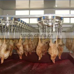 Poultry Slaughterhouse Bleeding Line thumbnail-1