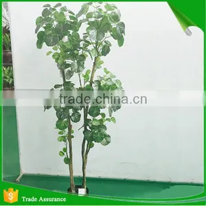 Artificial Simulation Cheap Pterocarya Tree thumbnail-1