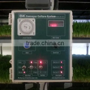 BK Conveyor Culture thumbnail-6