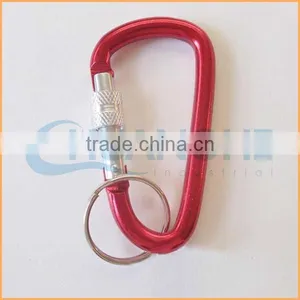 Fashion High Quality Carabiner With Ring thumbnail-1