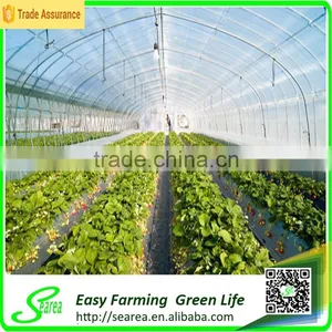 Polycarbonate Commercial Greenhouse thumbnail-2