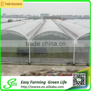 Economical Plastic Green House for Agriculture thumbnail-4