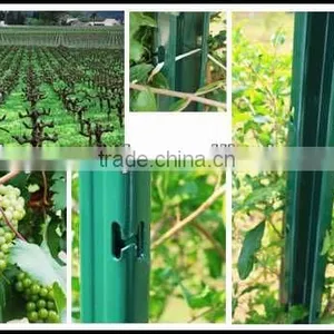 Steel Fence Stakes Factory in China thumbnail-1