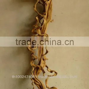 Wood Vine Sculpture thumbnail-1