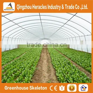 Heracles Trade Assurance Greenhouse Tunnel thumbnail-2
