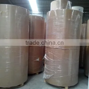 180 Gsm 190gsm 200gsm 210gsm PE Coated Paper for Paper Cup thumbnail-1