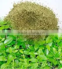 Gymnema Extract thumbnail-2