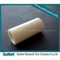 High Strength Washing Machine Ceramic Plunger thumbnail-1
