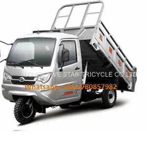 Gasoline Tricycle Cargo Loader Lovol Three Wheeler Mali Ethiopia Ghana Bukina Faso Tanzania Kenya Senegal Togo Benin Nigeira Mauritania Angola Burundi Chad Cameroon C ô te D'Ivoire Gabon Guinea Mozambique Rwanda Congo Uganda Zimbabwe thumbnail-1