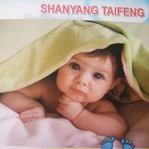 Changyi Shanyang Taifeng Trading Co., Ltd company overview - view 1 thumbnail