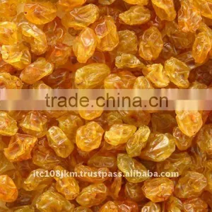 GOLDEN RAISIN thumbnail-1