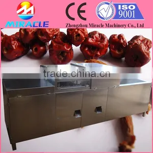 Efficiency SS201 Iraq Jujube Pitting and Removing Machine thumbnail-1