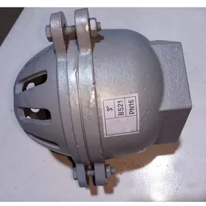 DN100 PN16 Ductile Iron Cast Iron Flange Foot Valve Pressure Filter Check Bottom Valve Foot Valve thumbnail-5