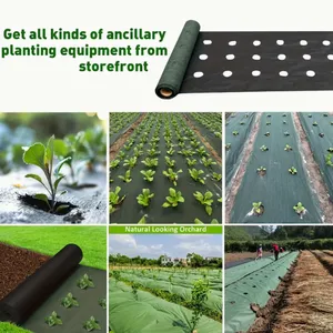 Long Lifespan Weed Barrier Fabric Roll for Commercial Agricultural Use thumbnail-2