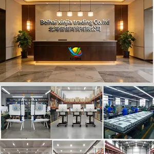 Beihai Xinjia Trading Co., Ltd. company overview - view 1 thumbnail