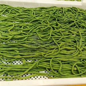 Big Capacity Okra Vegetables Drying Oven Fruits Dehydrator Agriculture Moringa Leaves Dryer Machine EPC thumbnail-2