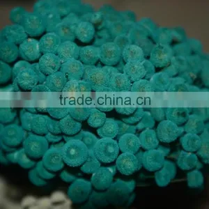 Buckle Flower thumbnail-1