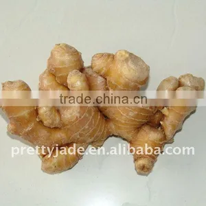 Professional Chinese Fresh Ginger Exporter thumbnail-1