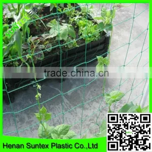 Strong Durable Trellis Netting Pea & Bean Support Net Hand Tools Garden Plant Climb thumbnail-5
