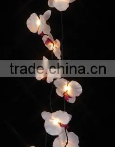 White Orchid String Light thumbnail-1