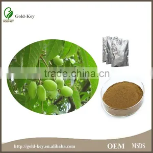 China Supply Olive Leaf Extract, Olive Leaf Powder thumbnail-1