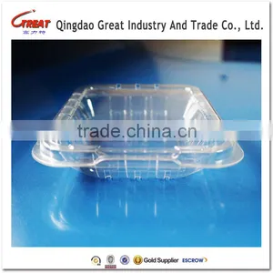 High Quality Plastic Fruit Packaging Box Berries Container thumbnail-2