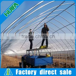 Galvanized Steel Structure Plastic Greenhouse Vegetable Grow Tent thumbnail-2