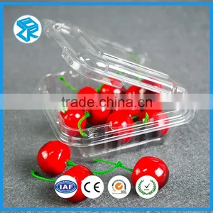 European Transparent Fruit Tray Blister Packaging thumbnail-1