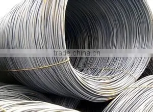 Wire Rod Li Xiaoxi thumbnail-5