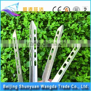 Camping Tent and Titanium Tent Peg/Titanium Pegs thumbnail-1