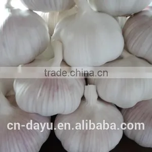 2016 Fresh Garlic Supplier thumbnail-1