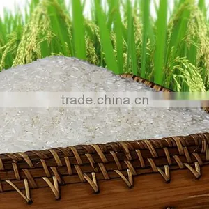White Rice JAPONICA GOOD QUALITY (Viber/Whatsaap:+84965152844) thumbnail-3