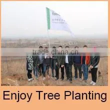 Songs United (Dalian) Trading Co., Ltd. company overview - view 1 thumbnail