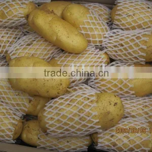New Crop Chinese Potato thumbnail-1