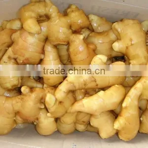 Fresh Ginger thumbnail-2