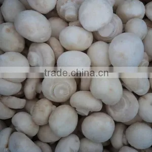Iqf Frozen Cultivated Champignon Button Mushroom Spawn thumbnail-2