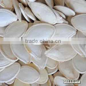 Chinese Shine Skin Pumpkin Seeds 10-11mm thumbnail-1