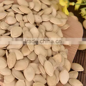 9-11mm Pumpkin Seeds From Inner Mongolia thumbnail-5