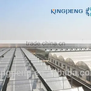 Multi Span Greenhouse (ISO9001:2000) thumbnail-2