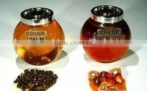 Low Price Palm Oil Press Machine for Small Scale Oil Plant thumbnail-4