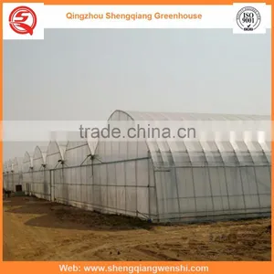 Agriculture Equipment Multi-span 7.2m PE Film Agriculture Greenhouse for Sale thumbnail-6