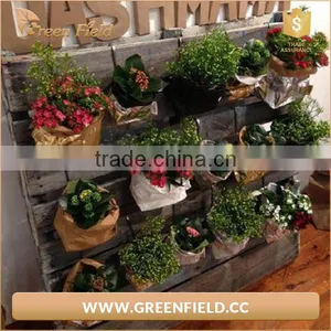Green Field Washable Kraft Paper Storage Bag Waterproof Planter Bag thumbnail-5