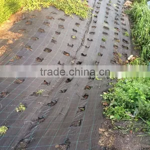Weed Control Ground Cover Membrane Landscape Fabric thumbnail-5