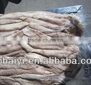 Precooked Bonito Loin 2013 thumbnail-1