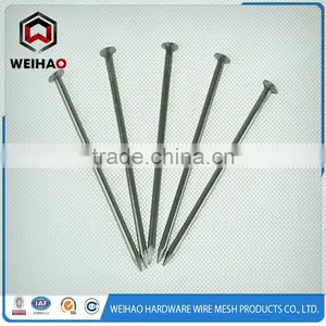 Polishing Common Iron Round Nail thumbnail-1