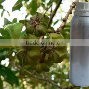 Import Star Aniseed Oil Fragrance Oil thumbnail-1