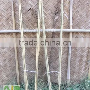 Make Bamboo Garden Trellis for Supporting the Climbing Plants thumbnail-1