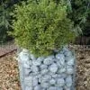 Gabion Cages thumbnail-2