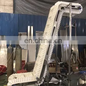 Z-Type Bucket Elevator/ConveyorCombined With Vibratory Feeder thumbnail-4