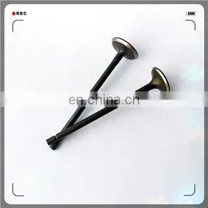 Oem 4A13-1007011 4A13-1007017 Engine Valve for 4A15 thumbnail-4